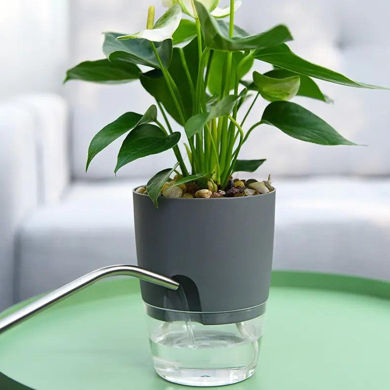 Transparent Double-Layer Self-Watering Flower Pot - fullshopping