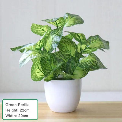 Artificial Succulent Plant - fullshopping