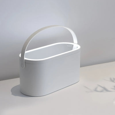 Cosmetic Storage Box, Cosmetic Bag, Makeup Bag, Portable Toiletry Case, Travel Cosmetic Case With Mirror And LED Lights; Great G