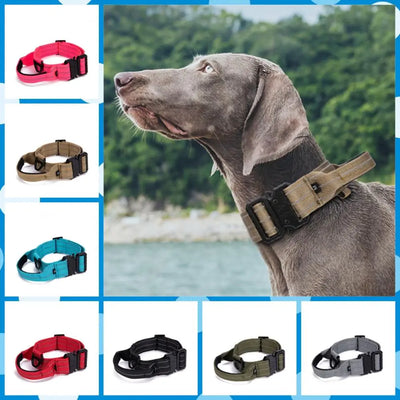 Tactical Reflective Nylon Dog Collar with Leash & Harness