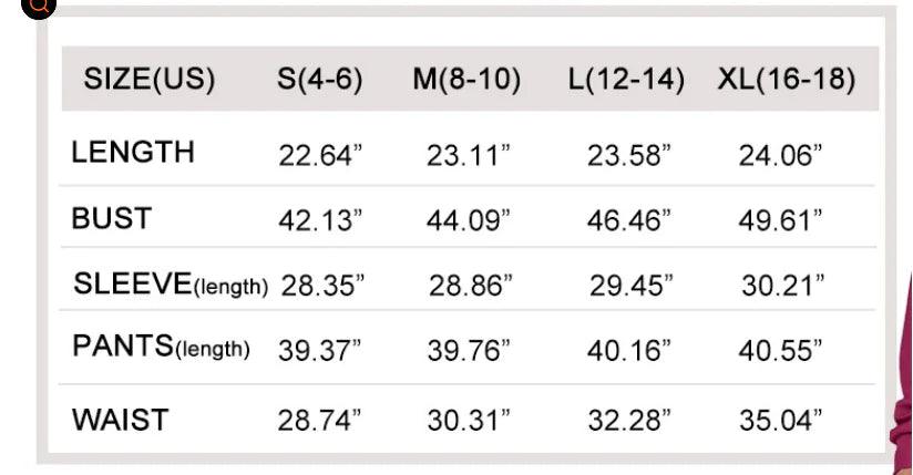 2 Piece Outfit Sweatsuit - fullshopping